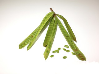Acacia seeds are removed from the pods. Taken orally with papaya salad.