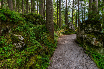 Fantastic round hike around the beautiful Eibsee at the Tiroler Zugspitze Arena