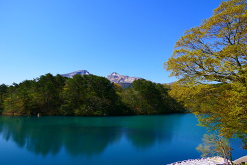 初夏の五色沼湖沼群、毘沙門沼より磐梯山を望む。北塩原、福島、日本。5月中旬。