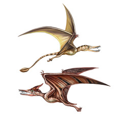 pterodactyl and rhamphorhynchus © Liliya
