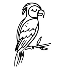 Obraz premium Single hand drawn exotic tropical bird. In doodle style, black outline isolated on a white background. Cute element for cards, posters, social media banners, stickers. Vector illustration.