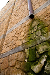 Tubo muschio