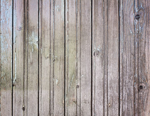 gray old wooden boards with texture as background