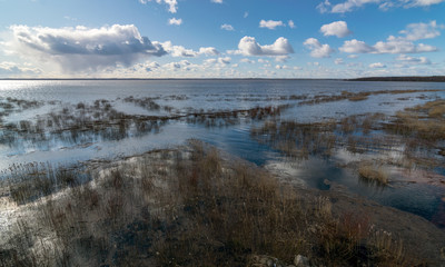 sunny landscape with a lake in the distance and dry reeds in the foreground