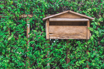 wooden mailbox on plant wall