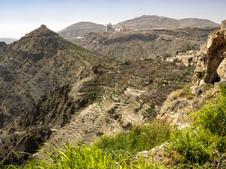 Terraced fields on mountain slopes, Oman