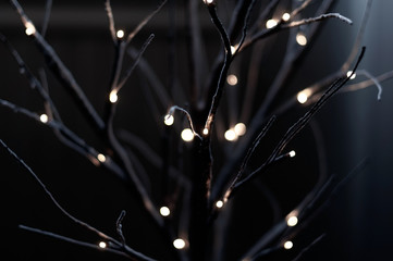 Interior decorations - artificial tree branches with luminous diode bulbs, photographed in close-up