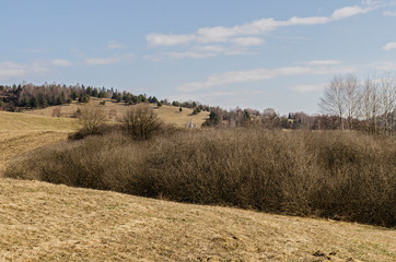 bieszczady panoram łąk
