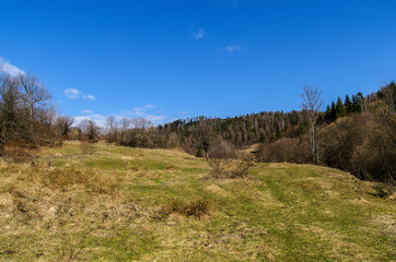 bieszczady panoram łąk