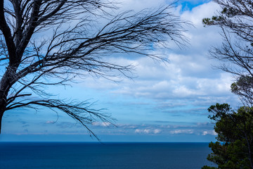 looking into the wide open ocean of the mediteranen sea on the island of mallorca during a wonderful sunny day with a beautful blue sky 