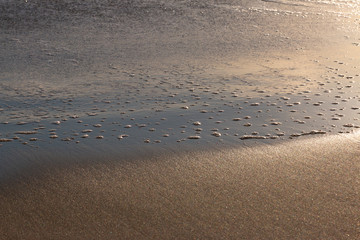 Fototapeta na wymiar olas ronmpiendo en la arena de la playa