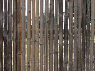 The fence made of bamboo.