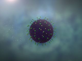 coronavirus (covid-19)