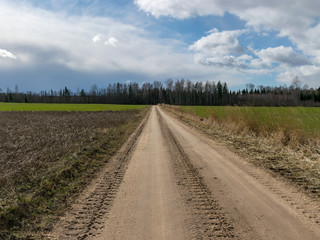 Fototapeta na wymiar a dirt road in the early spring