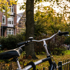 Fototapeta na wymiar Quiet area of Amsterdam. Parked bicycle. Dutch architecture. Tree and bushes.