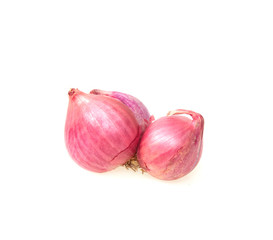 shallot onions isolate on white background.