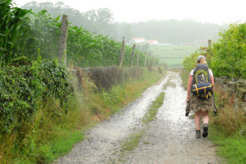 Peregrina del Camino de Santiago Portugués realizando la etapa entre São Pedro de Rates y Barcelos.