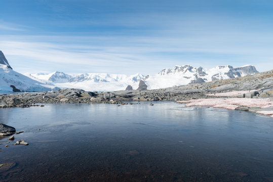 Frozen Tide Pool On Pleneau Island In Antarctica