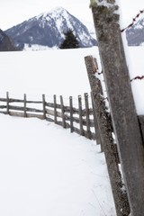 moosbedeckter Zaun im Schnee