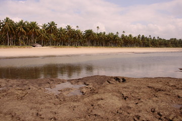 PAISAJES DE BRASIL, PLAYAS Y PALMERAS
