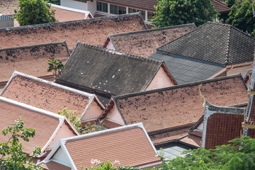 Asian rooftops © Patryk