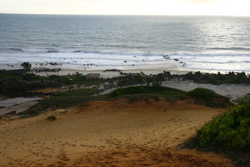 PAISAJES DE BRASIL, PLAYAS Y PALMERAS