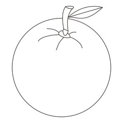 Orange Line Art Clip Art