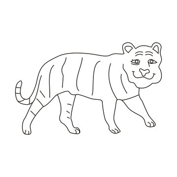 Tiger Line Art Clip Art