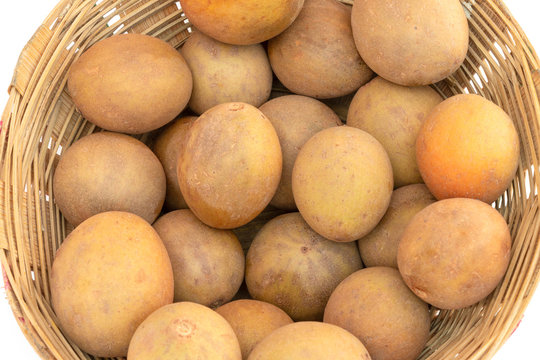 Chikoo or sapodilla fruit isolated on white background