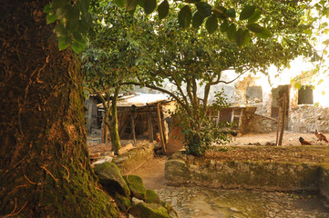 Old church backyard © Patryk