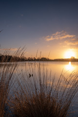 Obraz premium Silhouettes landscape view sunset at a lake, water reflection, birds in silhouttes in the water, moved grass in the foreground Fochteloerveen, The Netherlands