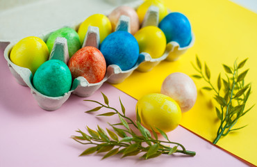 colorful Easter eggs on a pink and yellow background. Easter card with sprigs of greenery