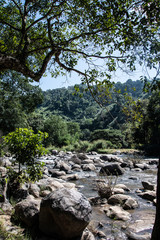 Jungle river © Patryk