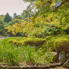 Fototapeta na wymiar Detail of traditional East Asian garden with pond of Heian Jiungu Shrine in Kyoto, Japan.