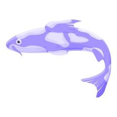 Oriental koi carp icon. Cartoon of oriental koi carp vector icon for web design isolated on white background