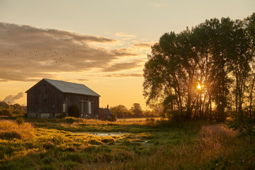 barn at sunrise in autumn