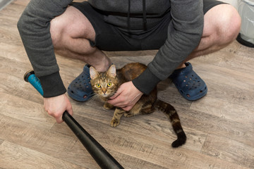Strong man with a baseball bat is keeping kitten safe