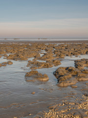 Aerial view of horizon over sea, with mounds of mud in the foreground, national park and Unesco World heritage area Waddensea in Province of Friesland, Netherlands