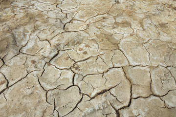 Soil in a rural area in the northeast region of Thailand that has salt stains due to drought