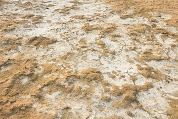 Salty soil