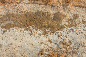 Salty soil