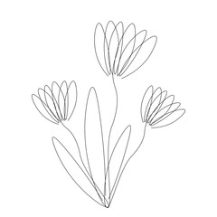 Flower on white background vector illustration