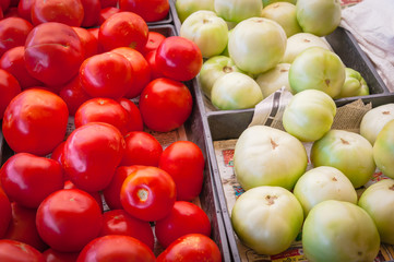 Green and red tomatoes on black plastic food crate at farmer market in Washington, USA