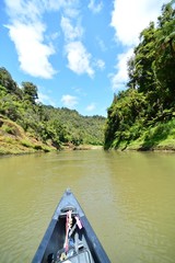 canoe trip on the tongariro river in the jungle of new zealand