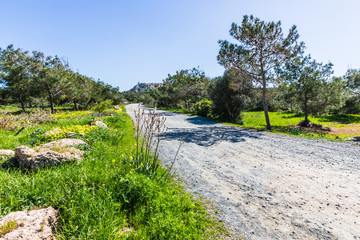 road in the middle of a green field, Ayia Napa, Cyprus. Cape Greko National Park
