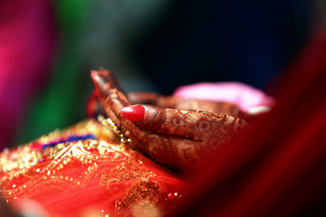 wedding hand of indian bride
