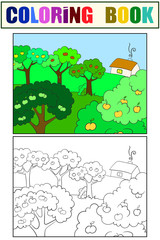 Apple orchard, rural landscape. Children coloring book and color picture.