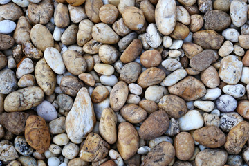 stone background. pebbles on the beach