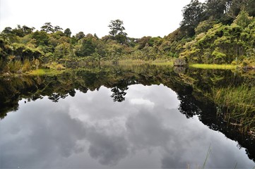 Obraz premium Mirror lake in the New Zealand jungle