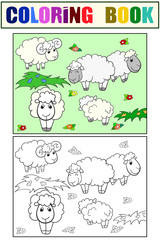 Fototapeta premium Flock of sheep. Set of children art coloring book and drawing.